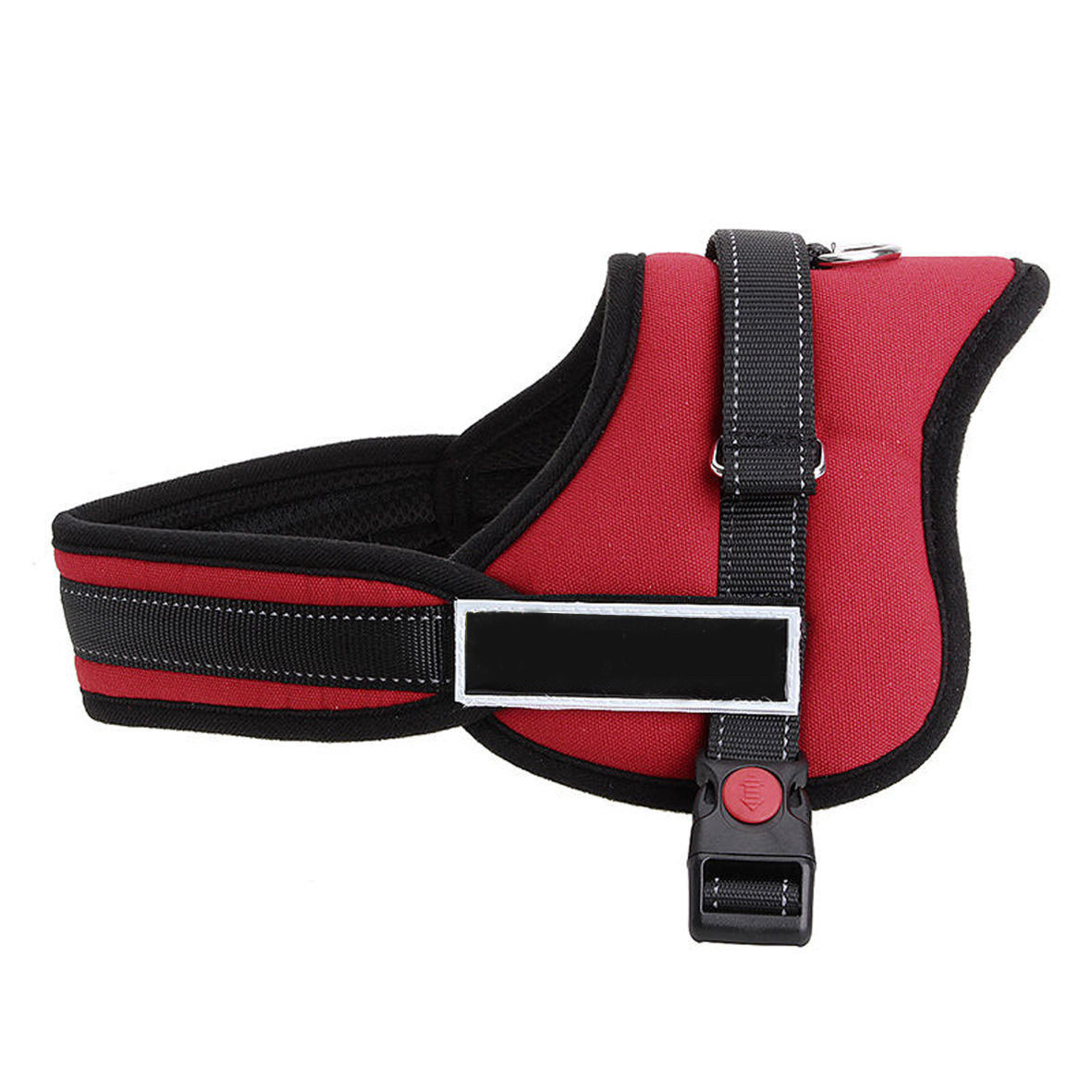 NGR Harness Norfolk Greyhound Rescue