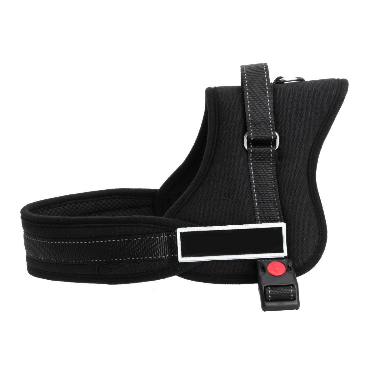 harness 2